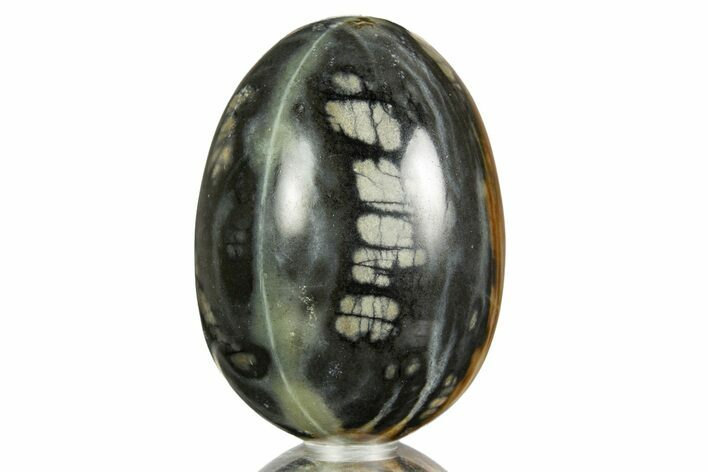 Polished Picasso Marble Egg - Utah #308962